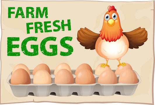 1 Dozen Farm Fresh Eggs